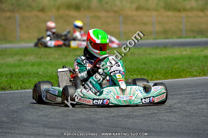 DSC_ (1410).jpg